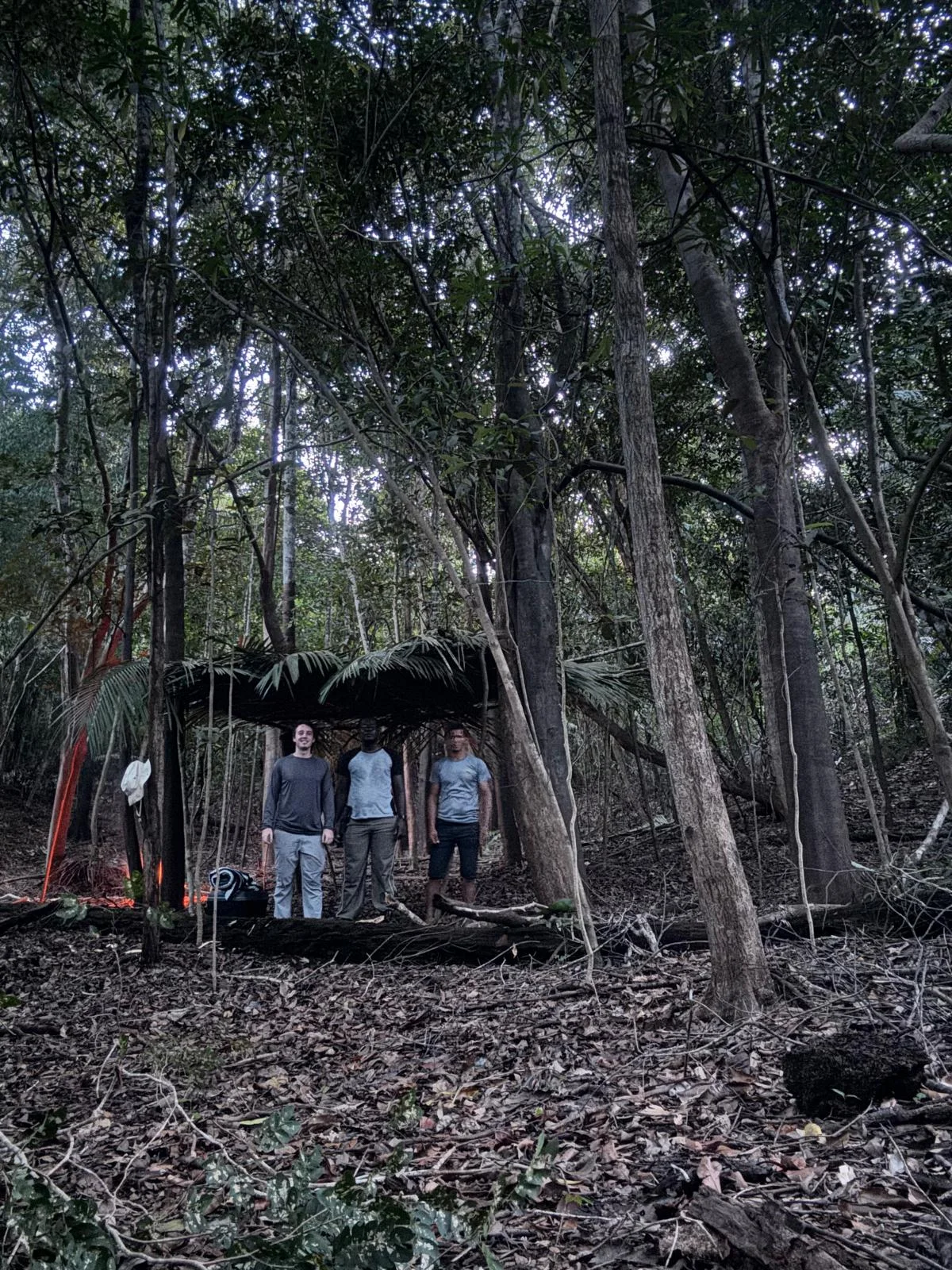 Passeio de 7 dias e 6 noites pela Amazônia